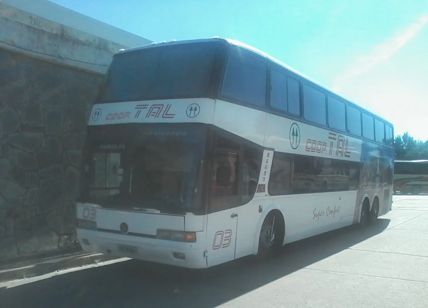buses