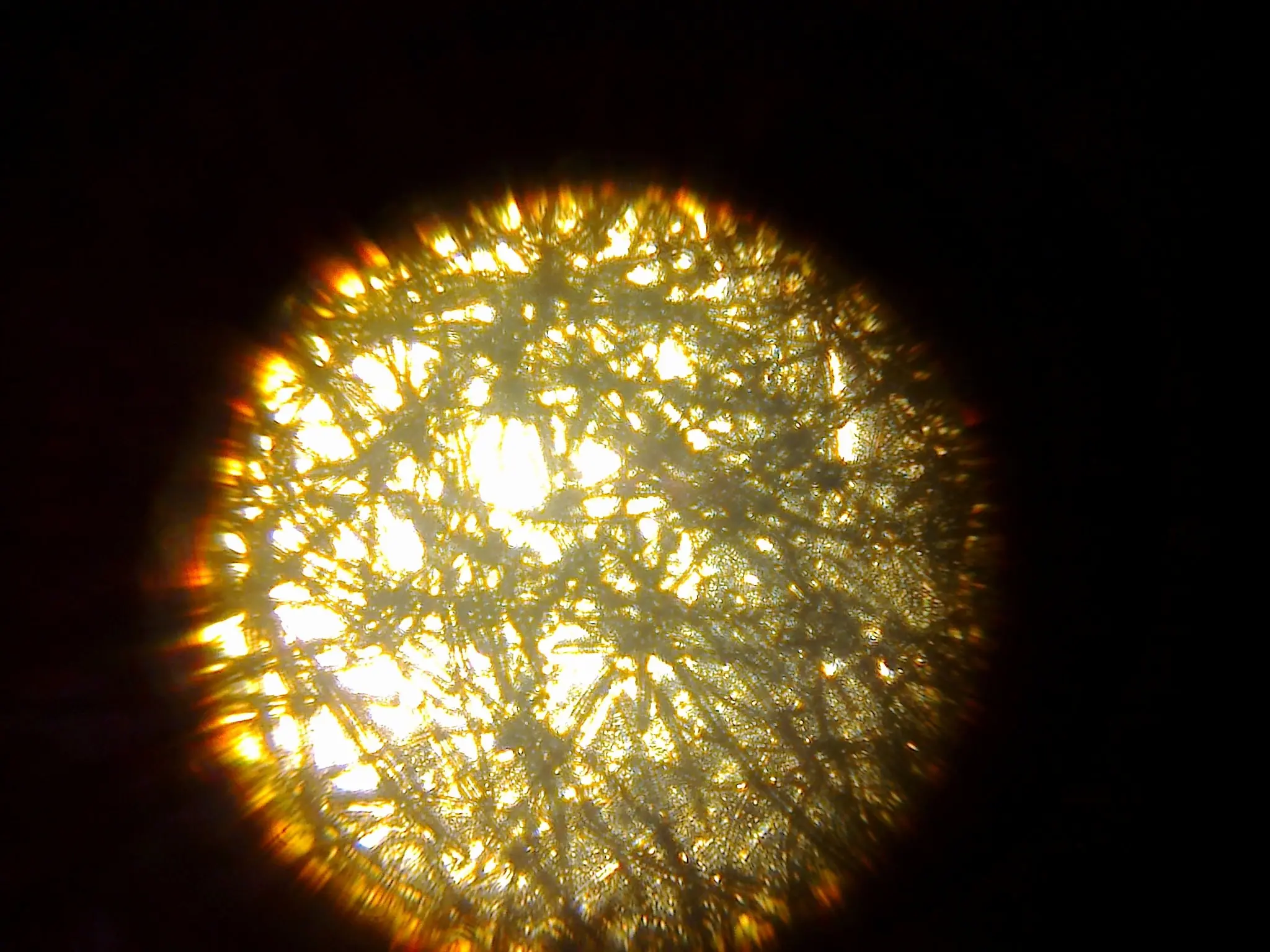 Probando mi microscopio (Imágenes)