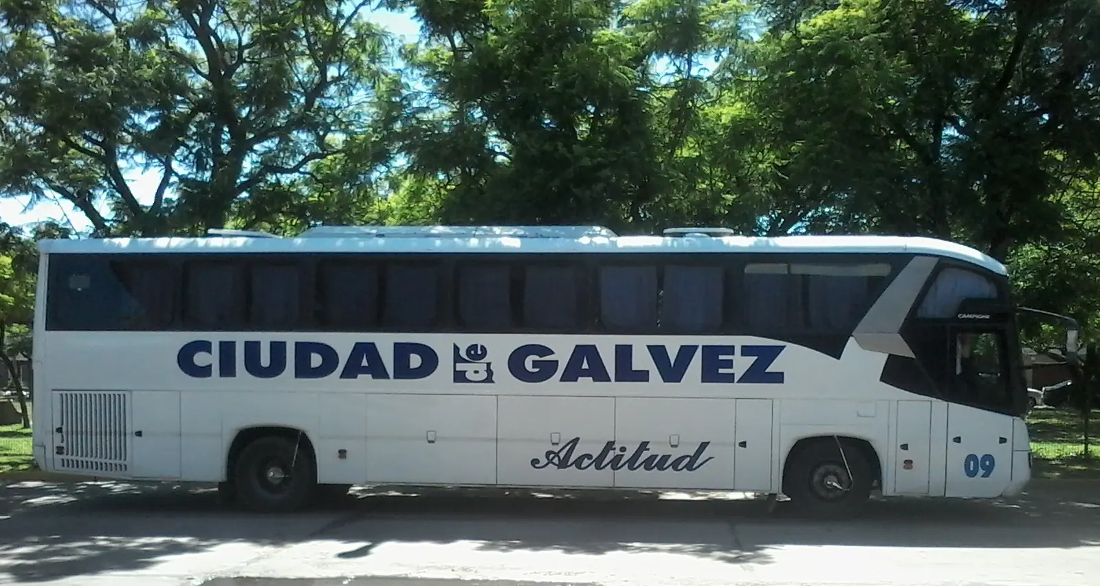 bondis