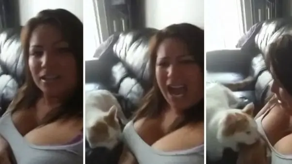 Perrito pide comida ! ¿y los gatitos?