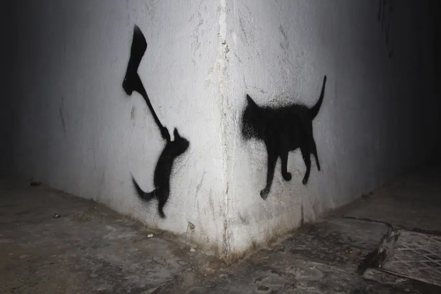callejero