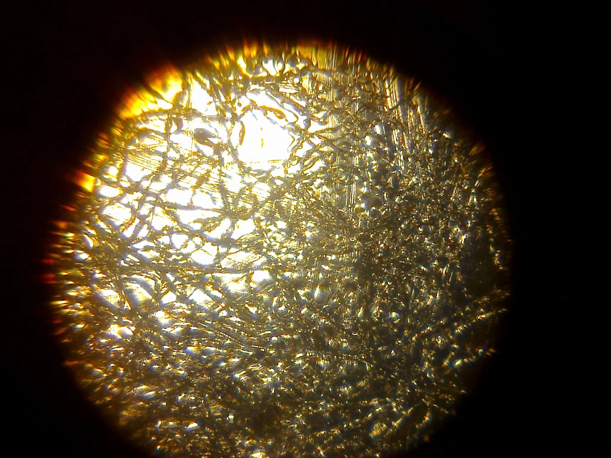 Probando mi microscopio (Imágenes)