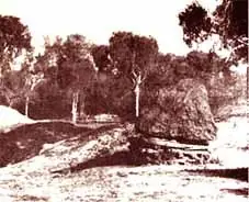 chaco