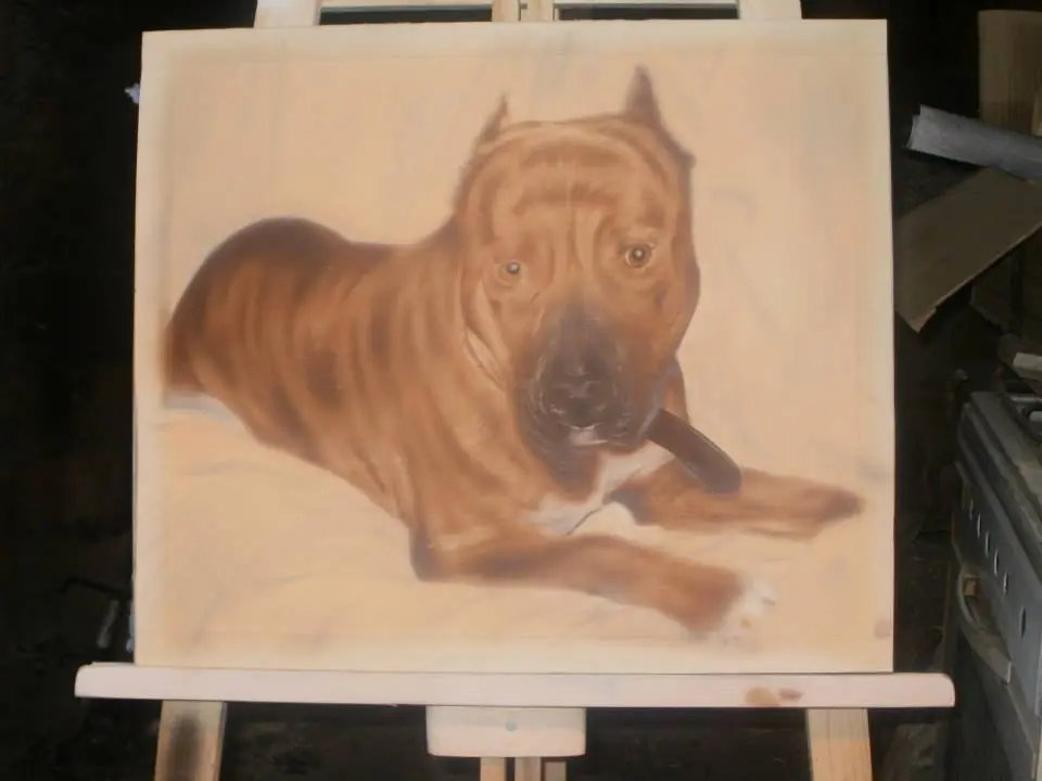 Pintura
