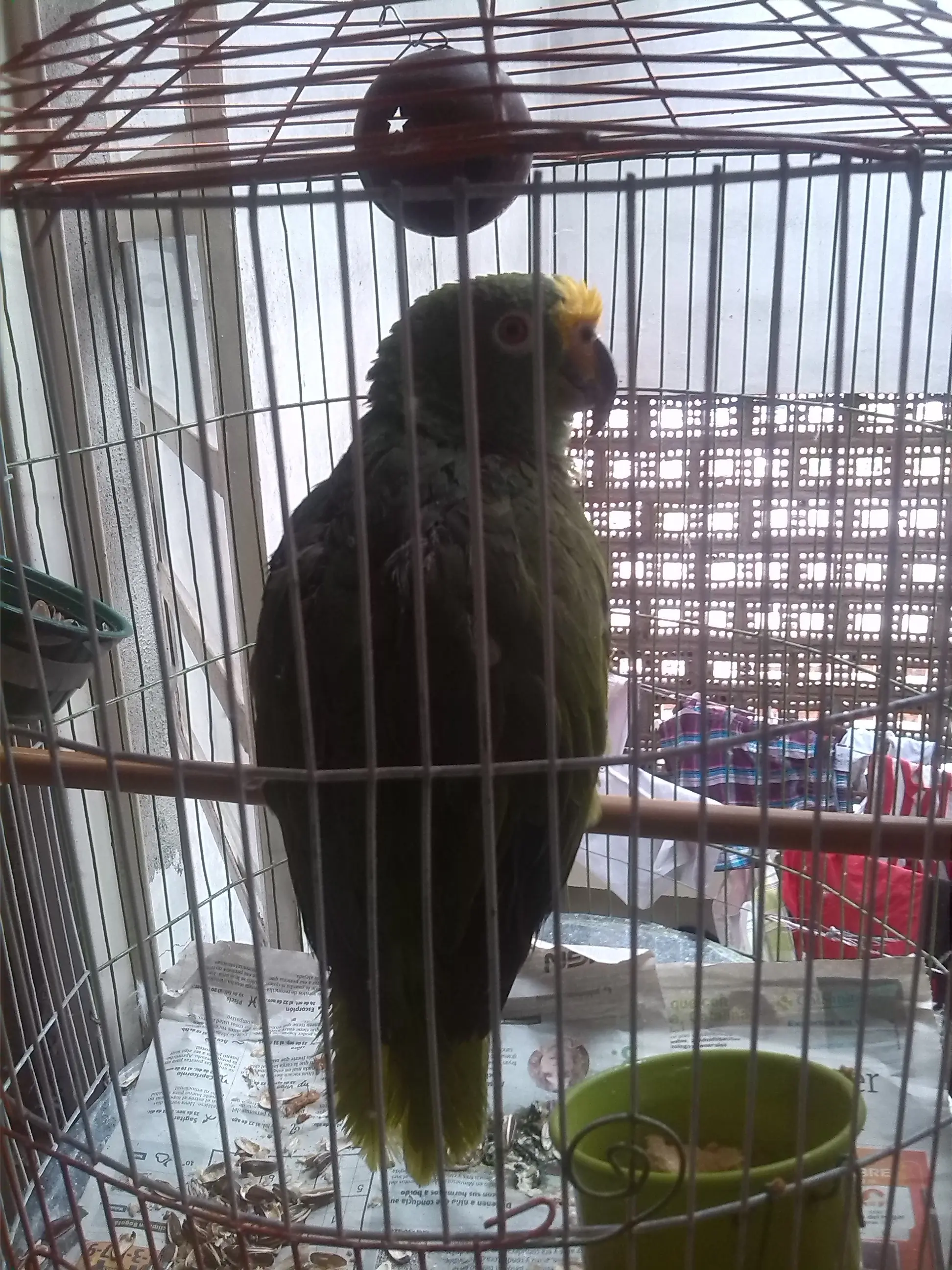 +10 si sales impresionado con este video