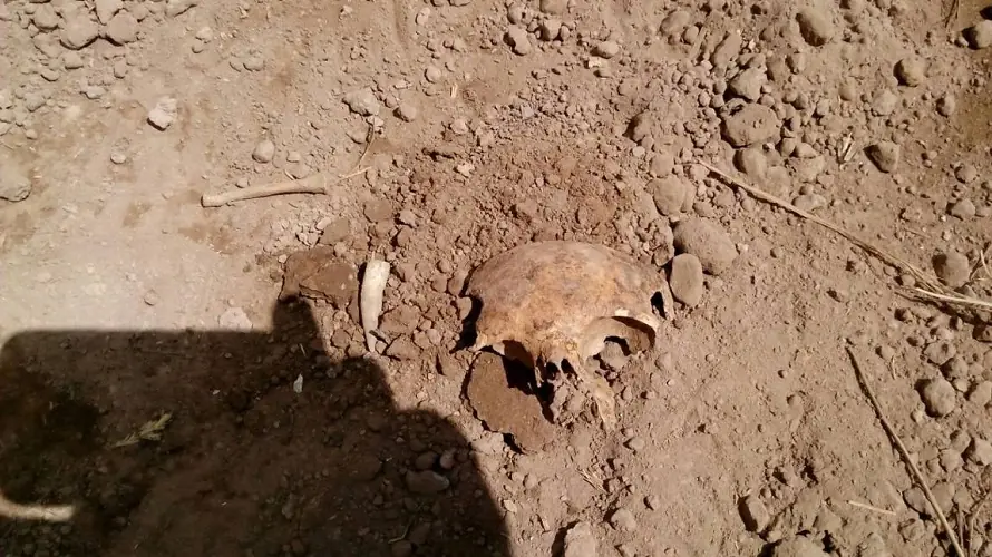 Pidió tierra para el quincho, recibió restos humanos...