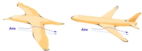 "¿Cómo vuela un avión?" for dummies