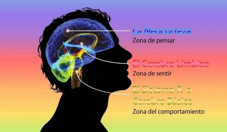 estudio estudio