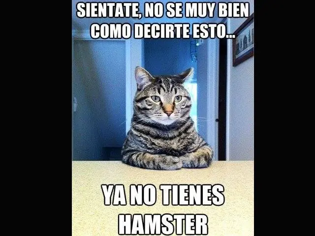 recopilacion