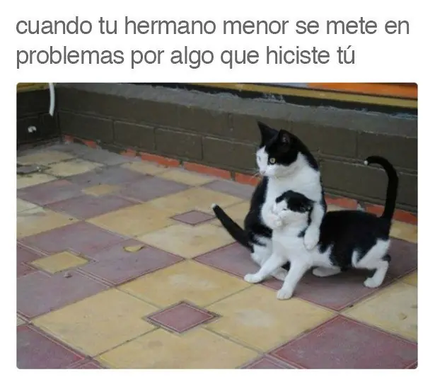 hermano menor hermano menor
