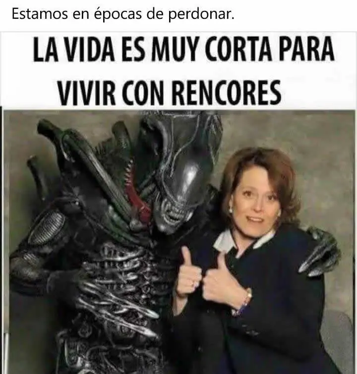 imagenes divertidas