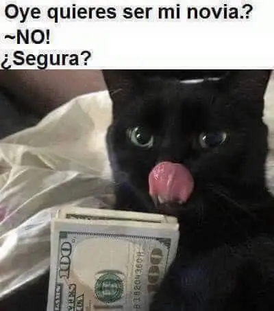 imagenes divertidas