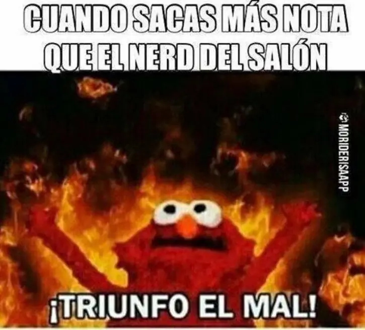 imagenes divertidas