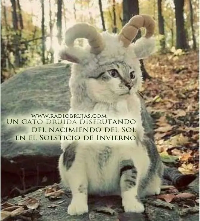 Humor de Lunes