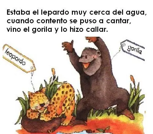 cuanta cuentos