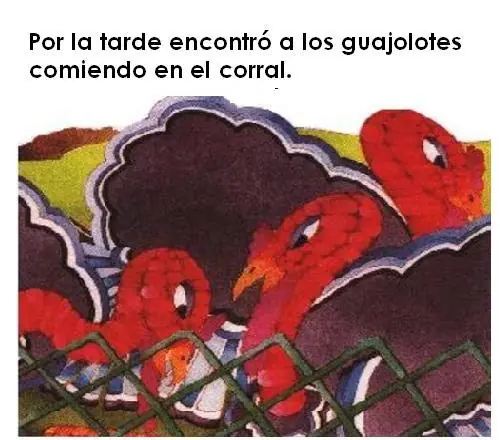 mexico