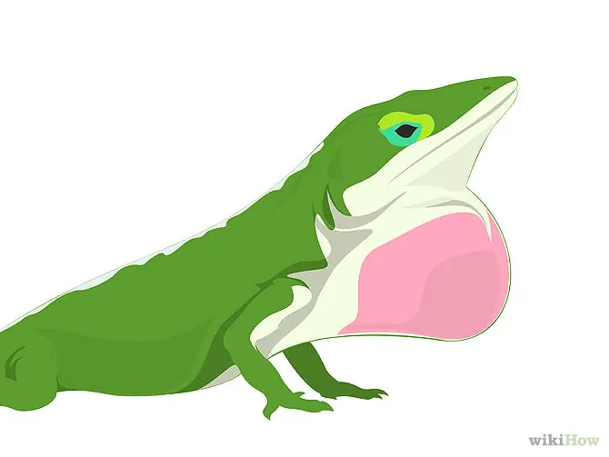 identificar