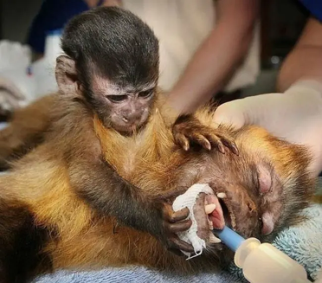 20 Fotos que no puedes mirar y quedarte indiferente