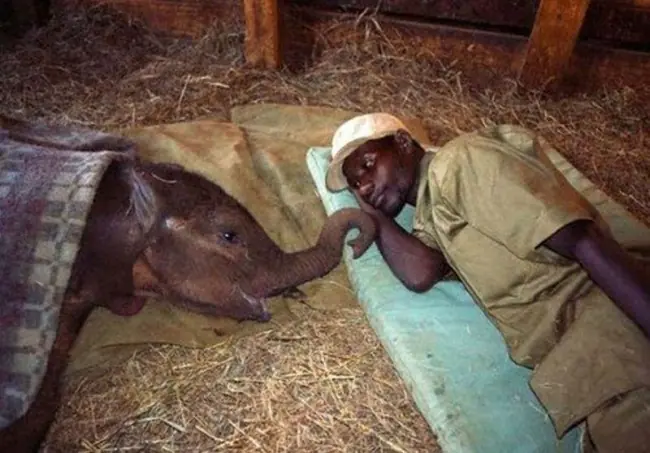 20 Fotos que no puedes mirar y quedarte indiferente