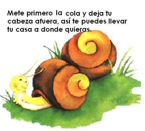 paco el chato