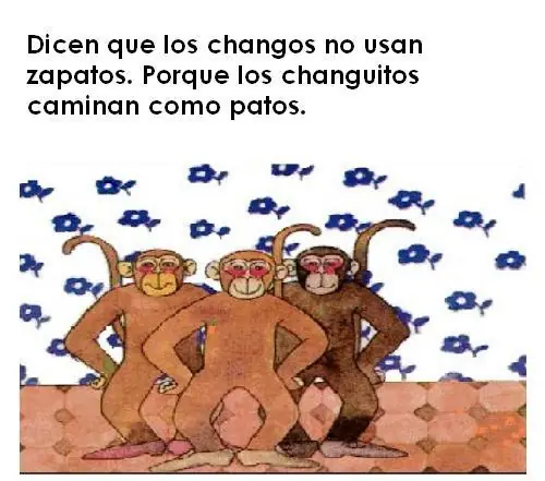 cuanta cuentos
