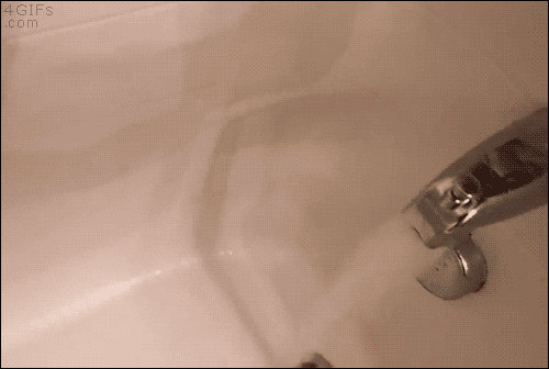 gifs