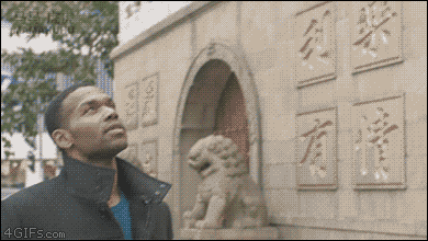 Lo mejor de 4gifs