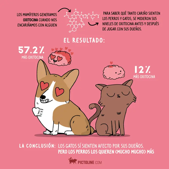 (Súper post parte 2) cosas que te pueden interesar