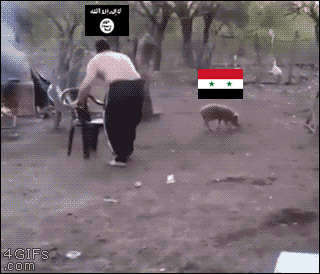 gifs