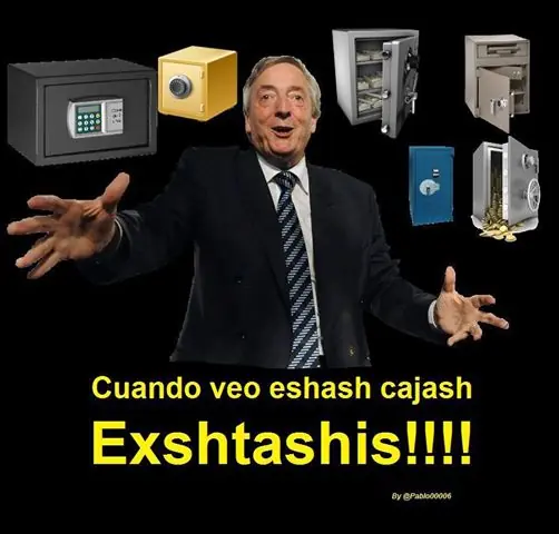 kirchnerismo estupido