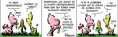 semillas patentadas semillas patentadas