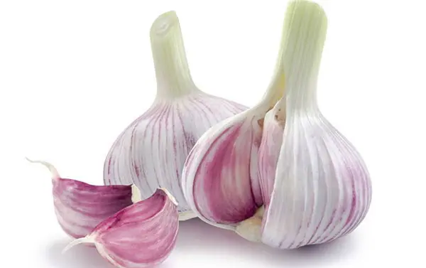 curativos