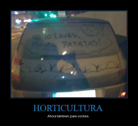 Si no te reis con alguna imagen no tenes sentido del humor..