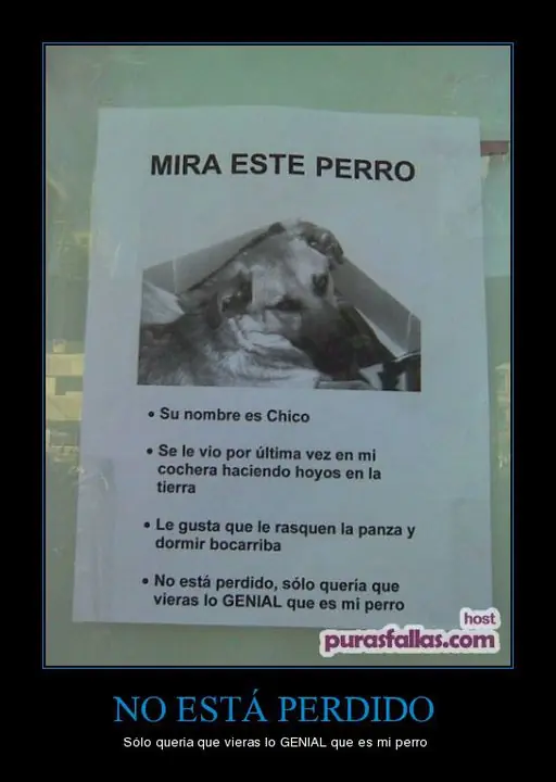 Imagenes graciosas