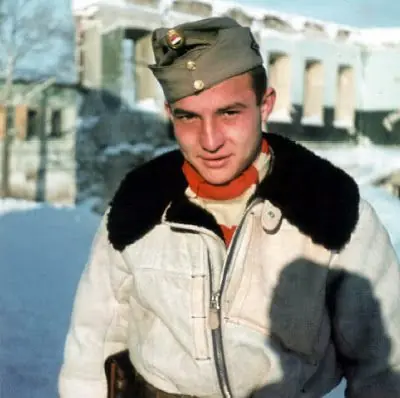 Hungría y su actuación en la Segunda Guerra Mundial Hungría y su actuación en la Segunda Guerra Mundial