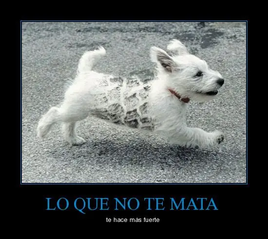 Imagenes graciosas