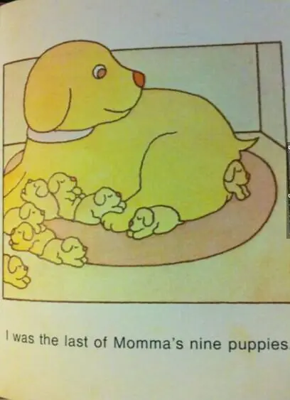 quetenes