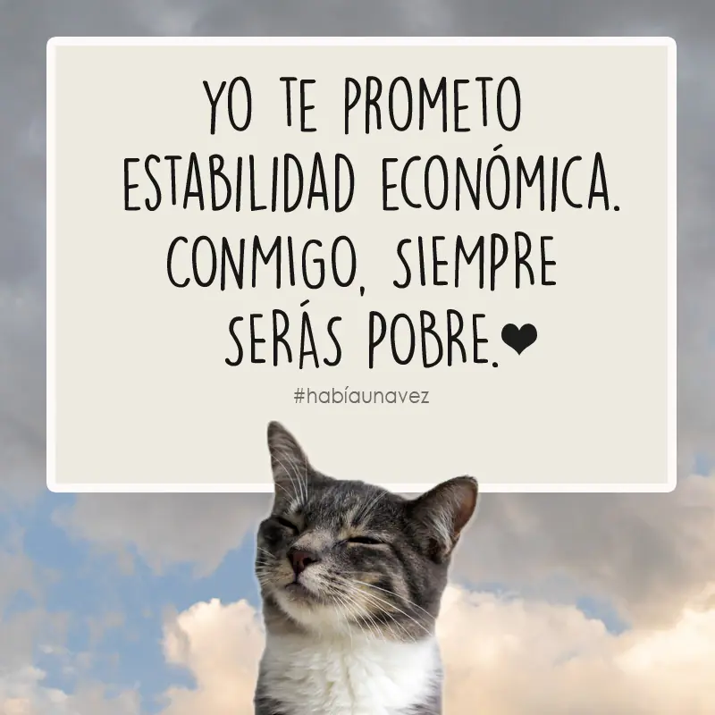 La gata que se cansó de estar esperando al gato!