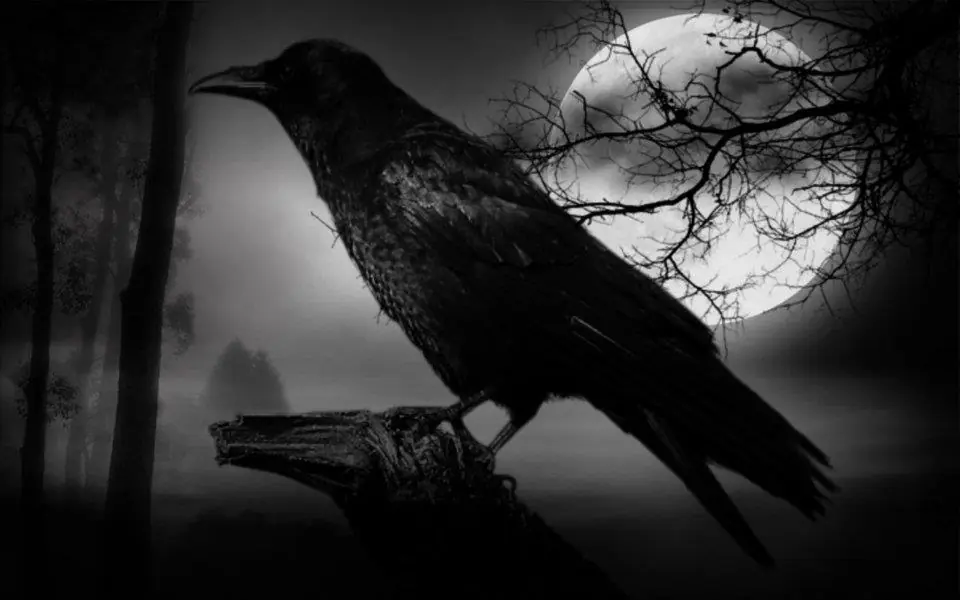 [Tres historias] El Terror Literario.