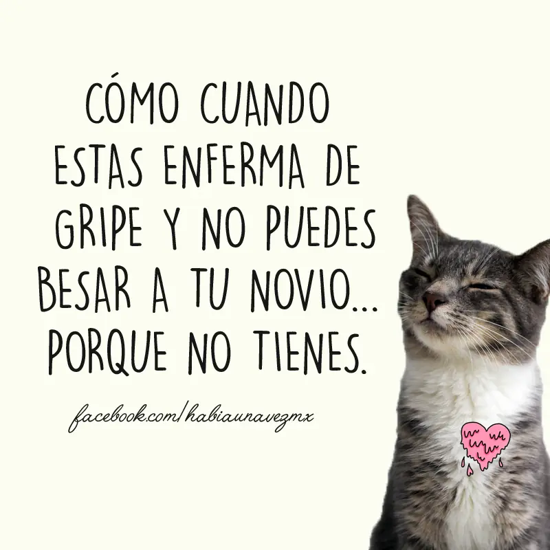humor negrisimo
