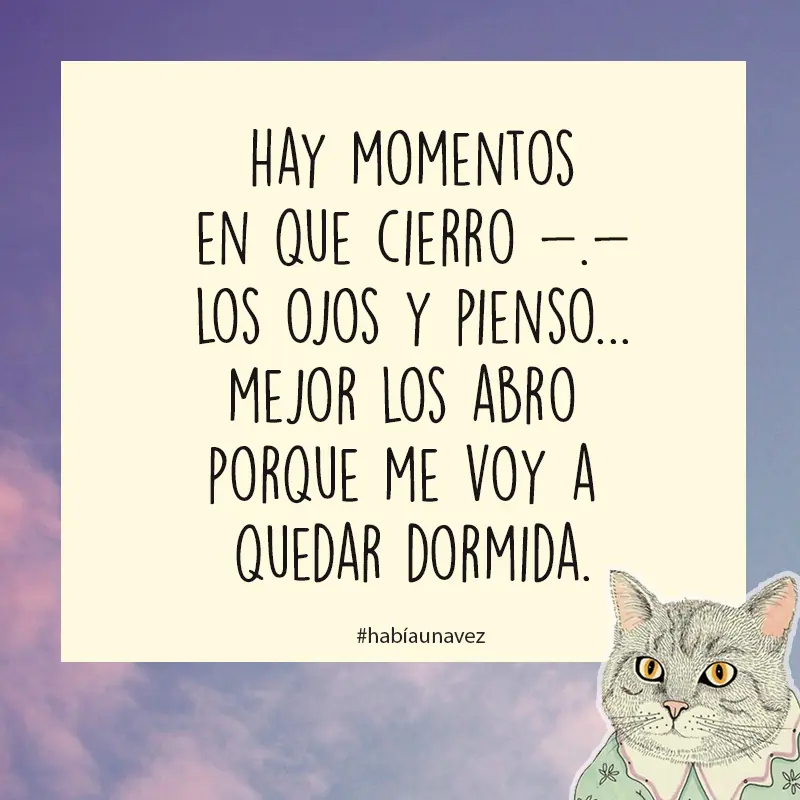 frases de humor