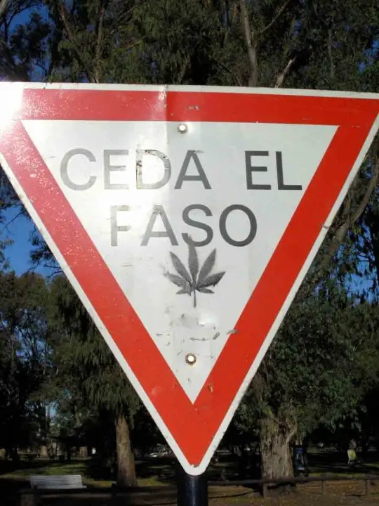 Imagenes graciosas