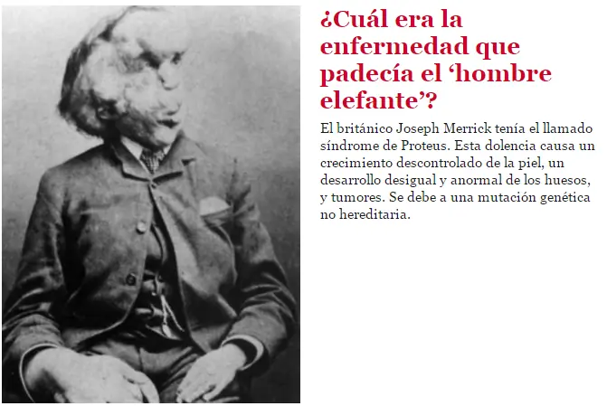 datos de la historia
