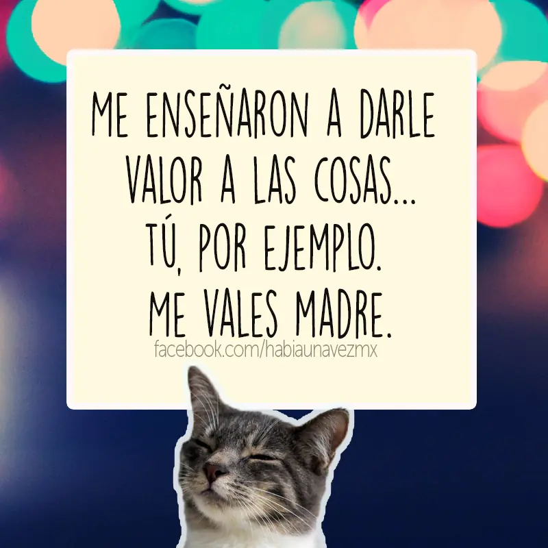 humor negrisimo
