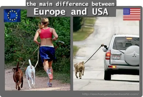 america america