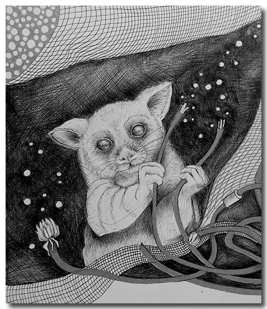 pintora