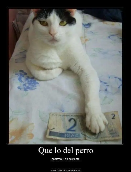Si no te reis con alguna imagen no tenes sentido del humor..