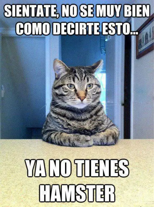 Imagenes graciosas