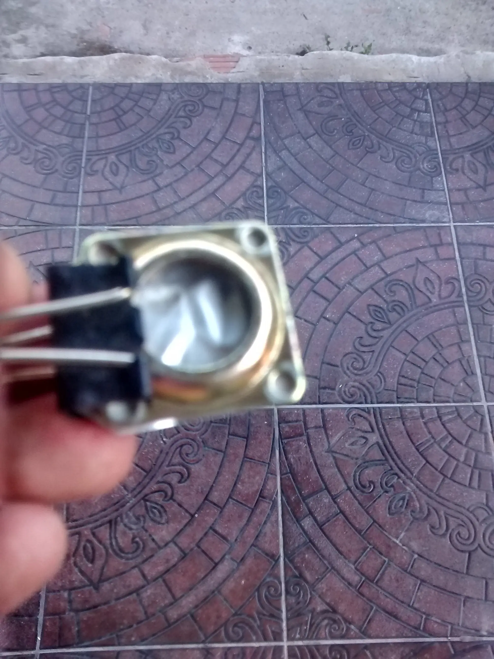 Estaba alpedo y te lo muestro
