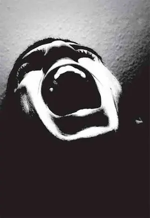 miedo